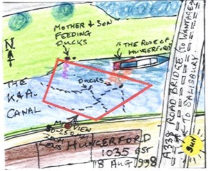 Mallard Wake Interference (map)