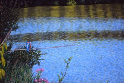 A Kingfisher at Lower Shiplake III