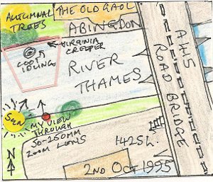 Coot and Virginia Creeper III (map)