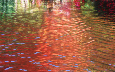 Wind-formed Swell-waves, Abingdon