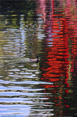 Mallard and Virginia Creeper from Abingdon Bridge