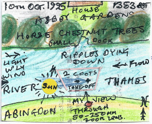 A Pair of Coots Taking Off (map)