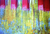 Picture Number No. 401 (2025)